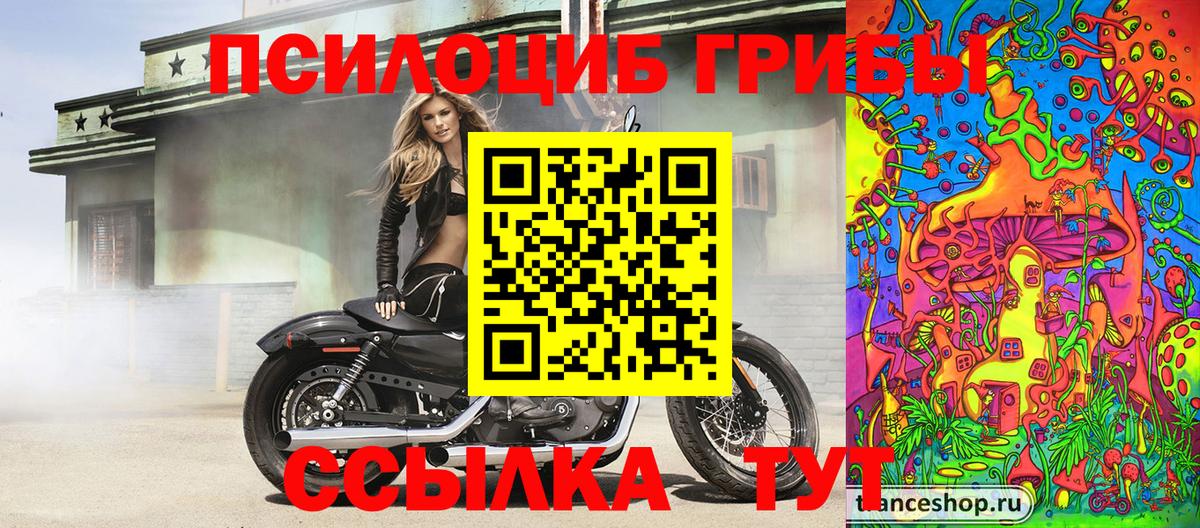 Галлюциногенные грибы Magic Shrooms  Вход с VPN  Галлюциногенные грибы Psilocybine cubensis  Бирск 
